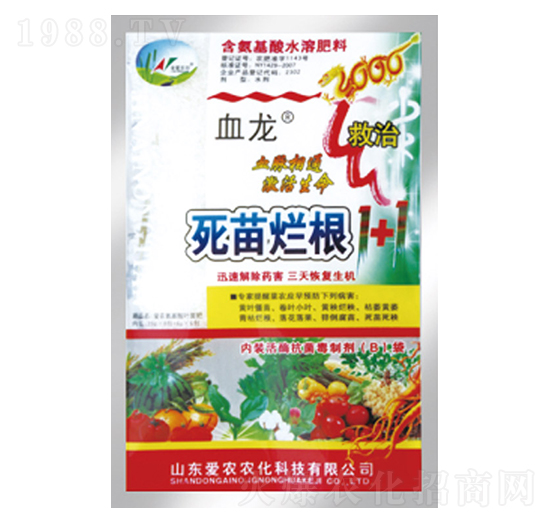 死苗爛根1+1-血龍-中根生物