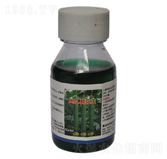 絲瓜鮮花王-農(nóng)伯樂