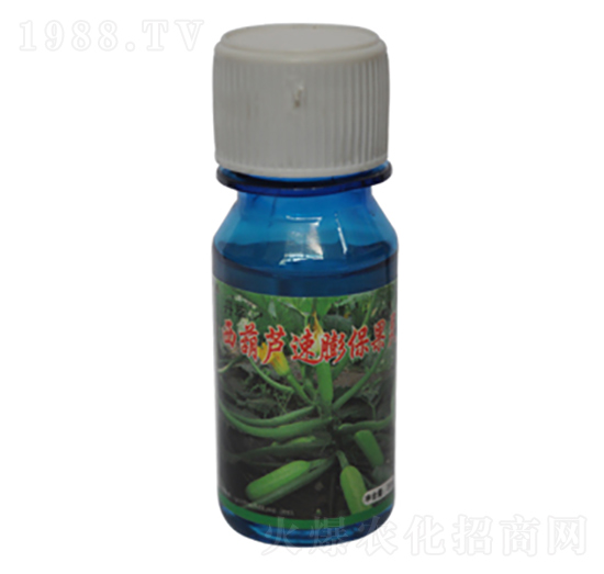 瓶裝西葫蘆保果靈-農(nóng)伯樂(lè)