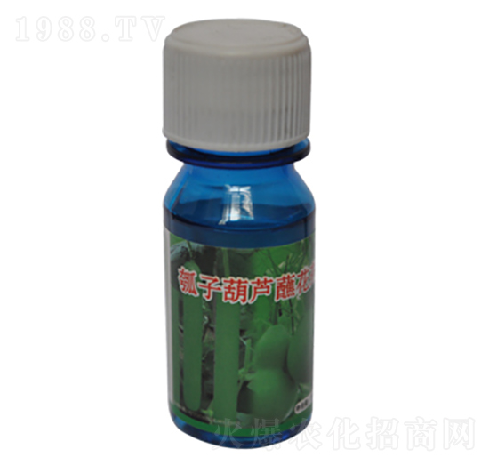 瓠子葫蘆蘸花藥-農(nóng)伯樂(lè)