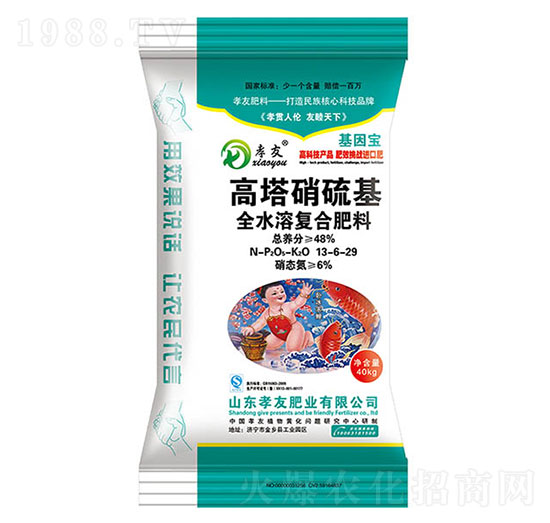 高塔硝硫基全水溶復(fù)合肥料13-6-29-孝友