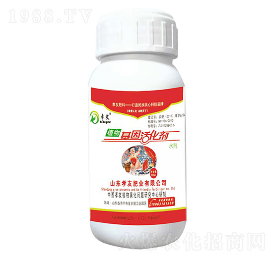 ֲ���������ƿ��-Т��