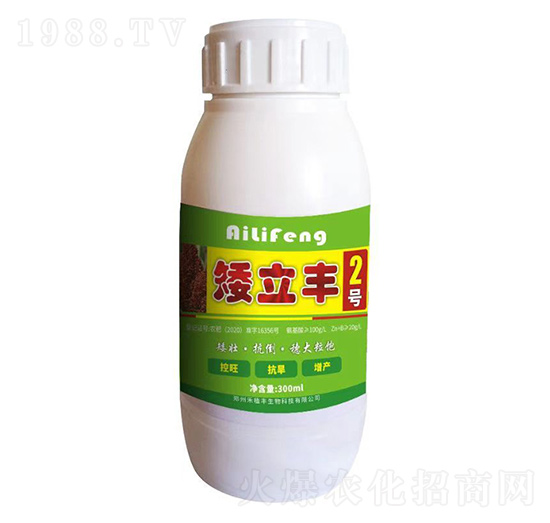 矮立豐2號(hào)-禾植豐