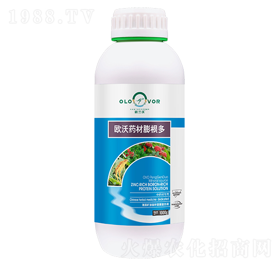 歐沃藥材膨根多-歐蘭沃