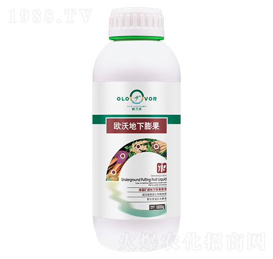 歐沃地下膨果-歐蘭沃