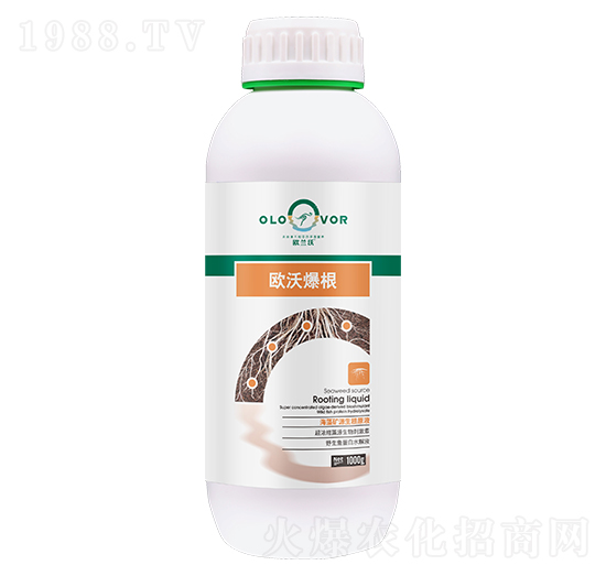 歐沃爆根-歐蘭沃