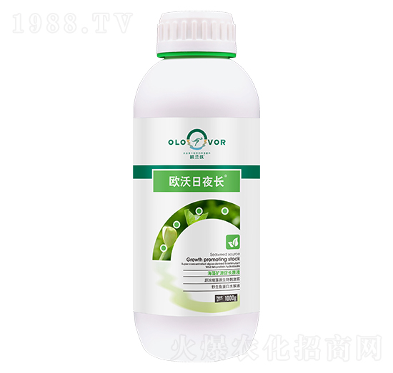 歐沃日夜長-歐蘭沃