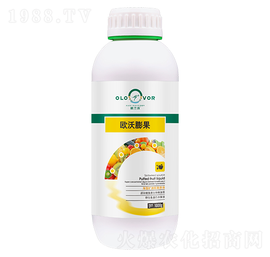 歐沃膨果-歐蘭沃