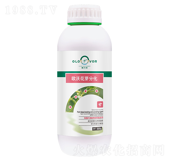 海藻礦源植物破眠催芽劑-歐沃花芽分化-歐蘭沃