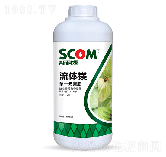 ���w�V-˹��ķ