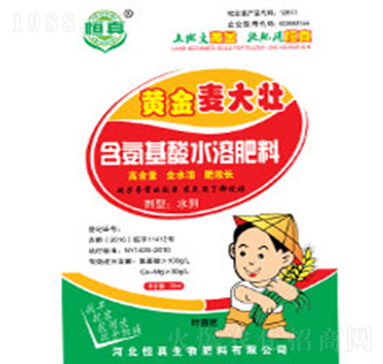 含氨基酸水溶肥料-黃金麥大壯-恒真生物