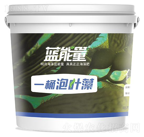 一桶泡葉藻-藍能量