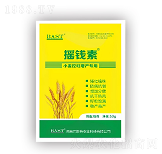 小麥控旺增產(chǎn)專用-搖錢素作物