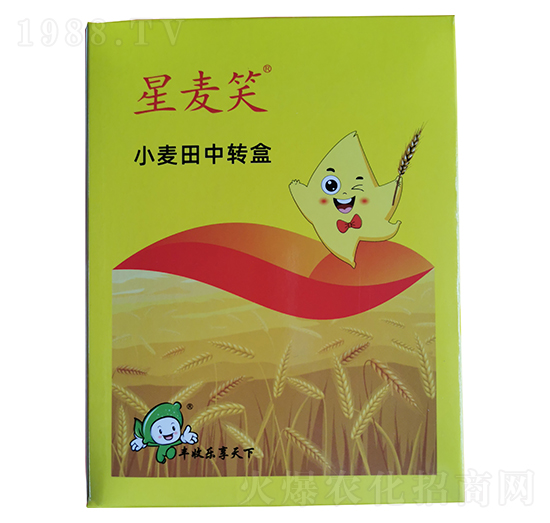 小麥田中轉盒-星麥笑-豐收樂
