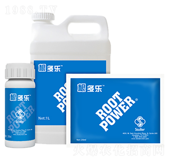 根多樂(lè)-世多樂(lè)