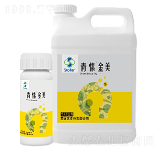 青愫金美-世多樂(lè)