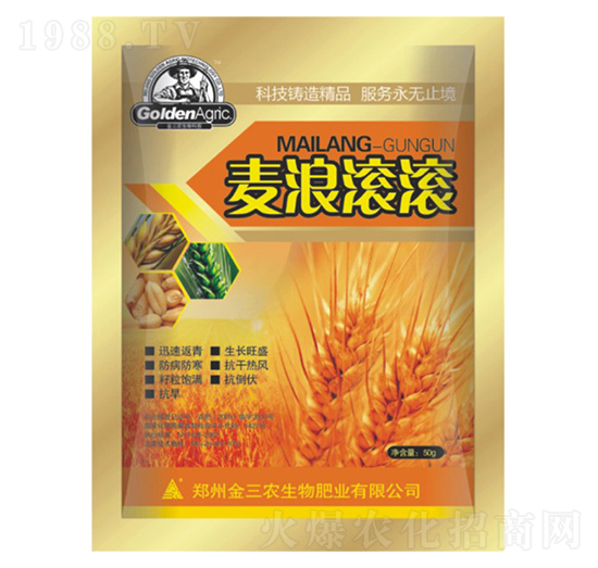 ���˝L�L-�����r