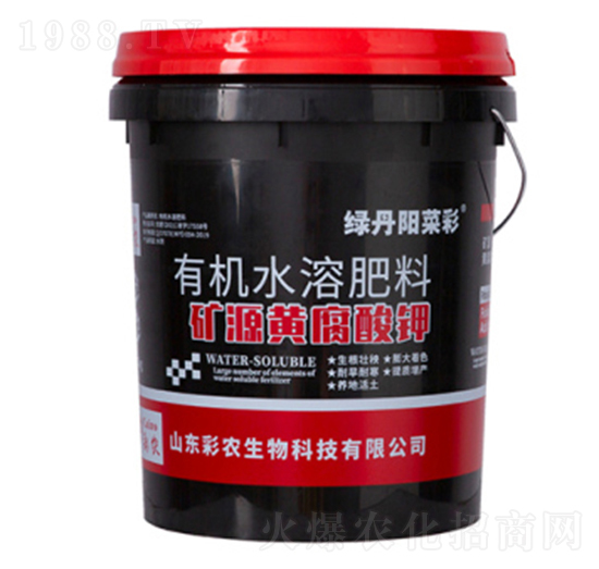 礦源黃腐酸鉀-綠丹陽菜彩