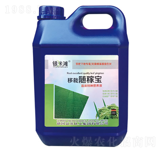 移栽隨嫁寶-銀米灘生物