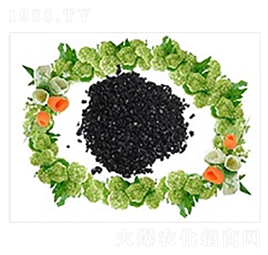 精品腐植酸鈉-盛佳友生物