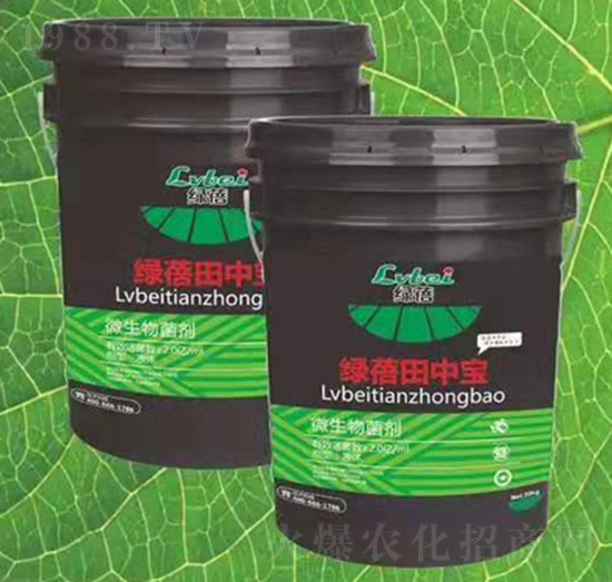 微生物菌劑-綠蓓田中寶-綠蓓農業(yè)