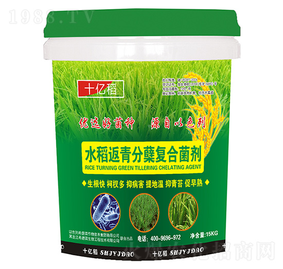 水稻返青分蘗復合菌劑-十億稻-希碧萊生物