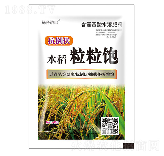 水稻粒粒飽含氨基酸水溶肥料-綠科生物