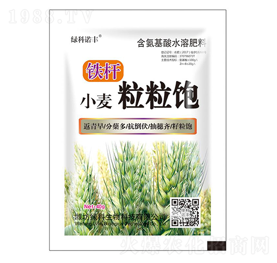 小麥粒粒飽含氨基酸水溶肥料-鐵桿-綠科生物