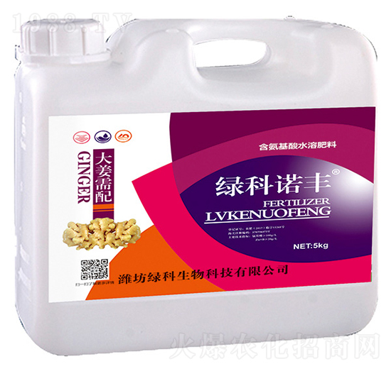 大姜需配含氨基酸水溶肥料-綠科諾豐-綠科生物
