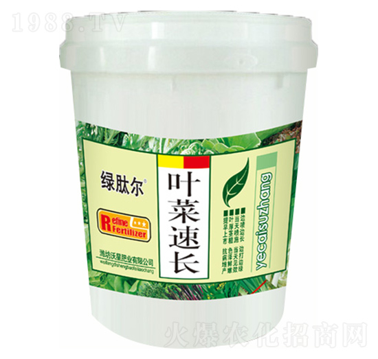 葉菜速長-綠肽爾-沃星肥業(yè)