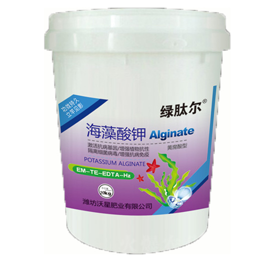 �������-���ǷʘI(y��)