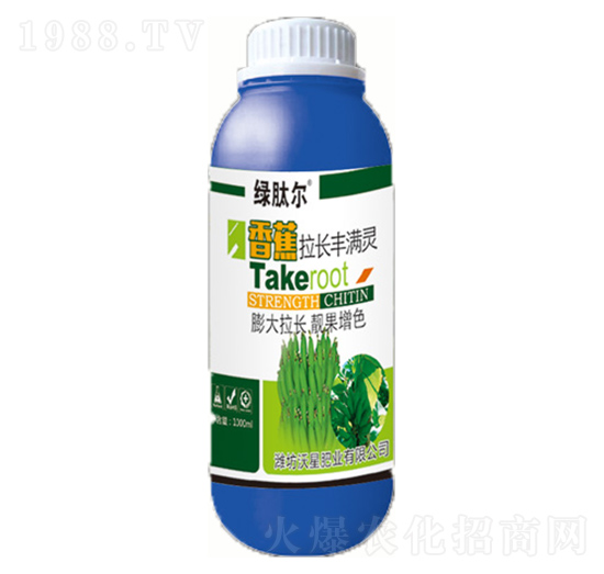 香蕉拉長(zhǎng)豐滿靈-沃星肥業(yè)