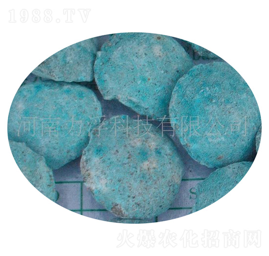 �ؙ������ؘ��-�����Ƽ�