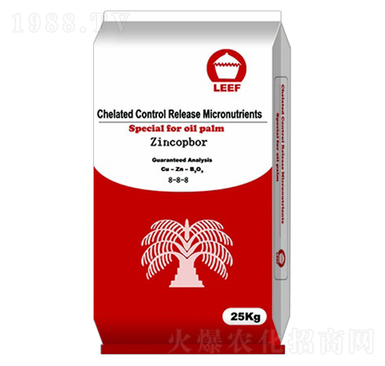 �~�\��8-8-8-�Ŷ�-�����Ƽ�