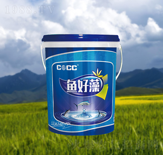 魚(yú)好藻-中?；? style=