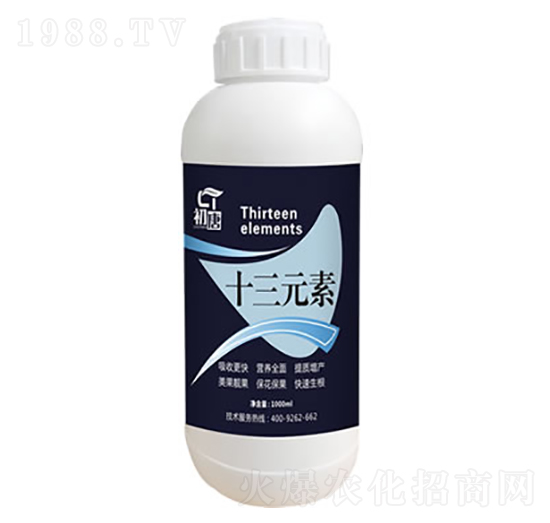 十三元素-初唐-睿之澤