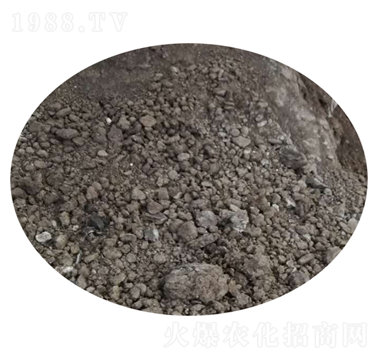 微生物菌劑-嘉施得