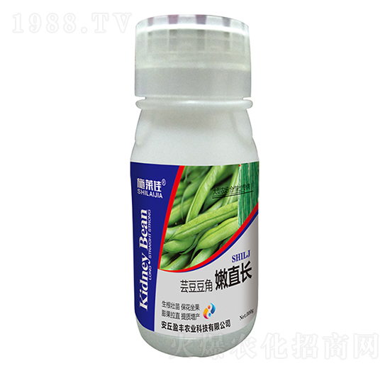 蕓豆豆角嫩直長(zhǎng)-施萊佳-盈豐農(nóng)業(yè)