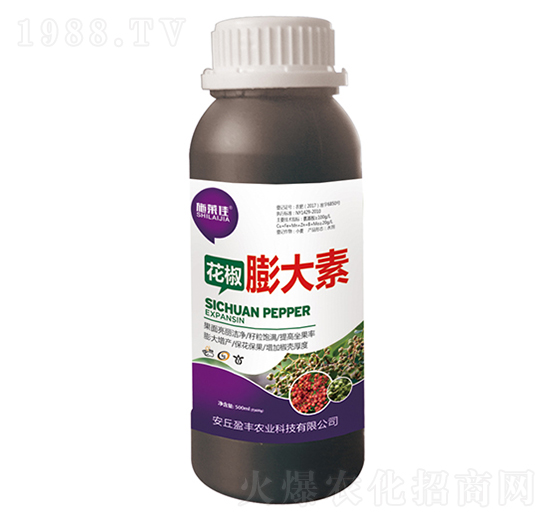 ���������-�S�T�f��-ӯ�S�r�I(y��)