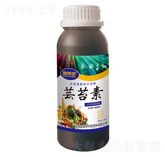 �|̦��-ʩ�R��-ӯ�S�r�I(y��)