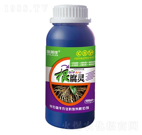 �����`-ʩ�R��-ӯ�S�r(n��ng)�I(y��)