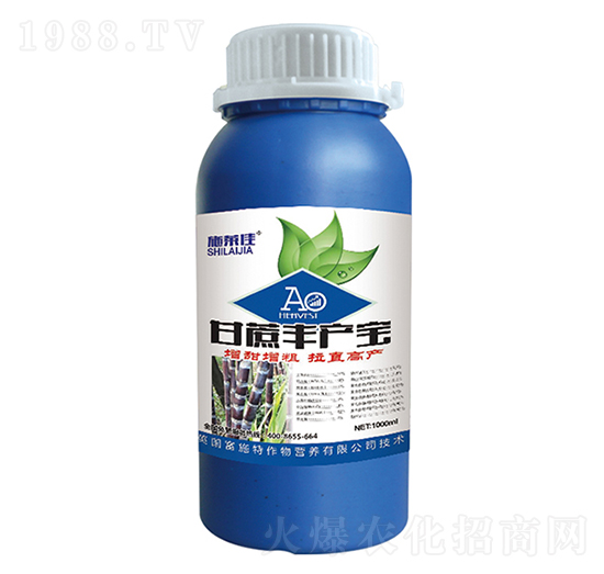 �����S�a��-ʩ�R��-ӯ�S�r�I(y��)