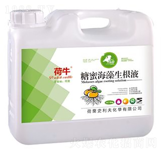 糖蜜海藻生根液-荷牛-史利夫