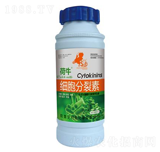 細(xì)胞分裂素-荷牛-史利夫