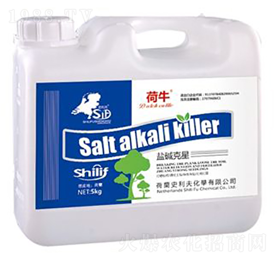 鹽堿克星-荷牛-史利夫