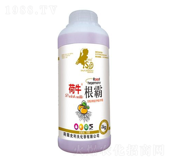 根霸-荷牛-史利夫