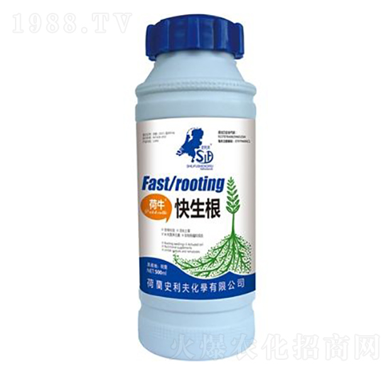 荷?？焐?史利夫