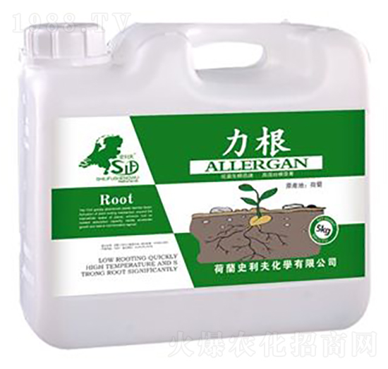 力根-荷牛-史利夫