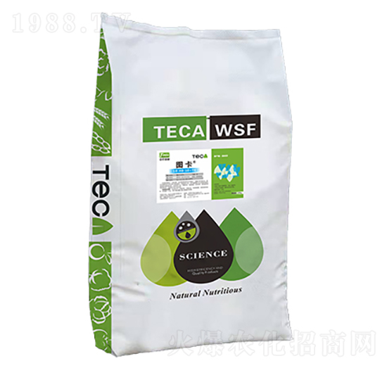 �D�����{(l��n)��-ͬ������