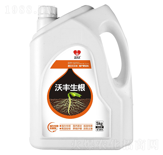 ���S����-�����S